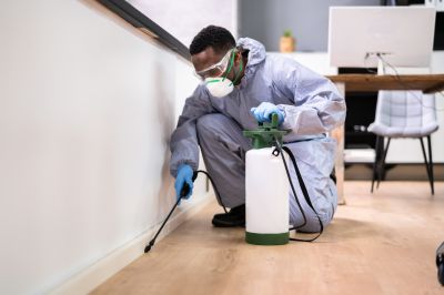 Pest Control Service